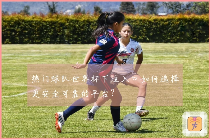 热门球队世界杯下注入口如何选择更安全可靠的平台？