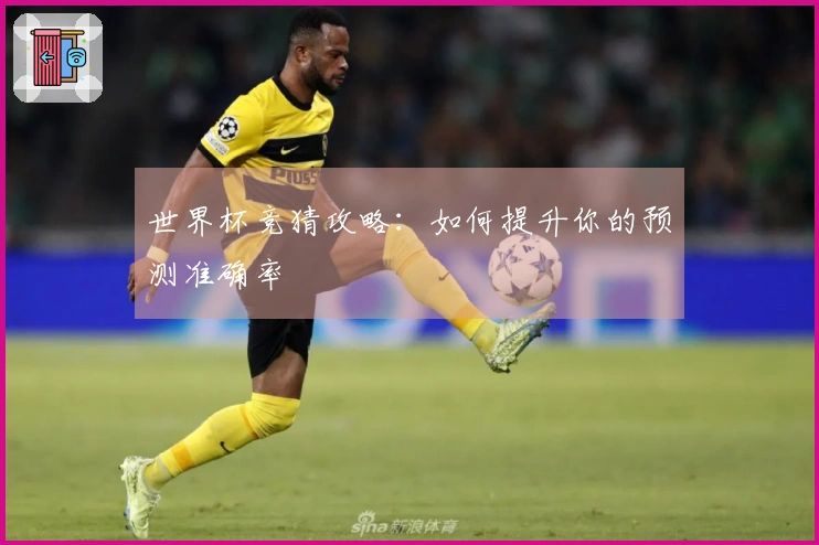 世界杯竞猜攻略：如何提升你的预测准确率