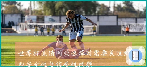 世界杯竞猜网站选择时需要关注哪些安全性与信誉性问题