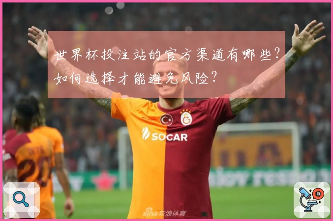 世界杯投注站的官方渠道有哪些？如何选择才能避免风险？