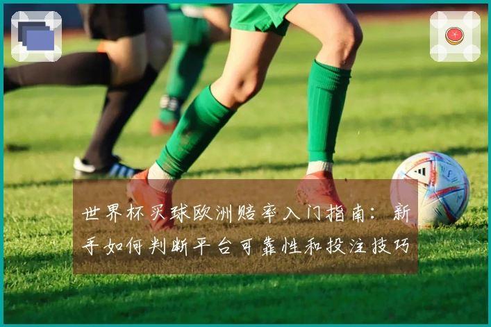 世界杯买球欧洲赔率入门指南：新手如何判断平台可靠性和投注技巧