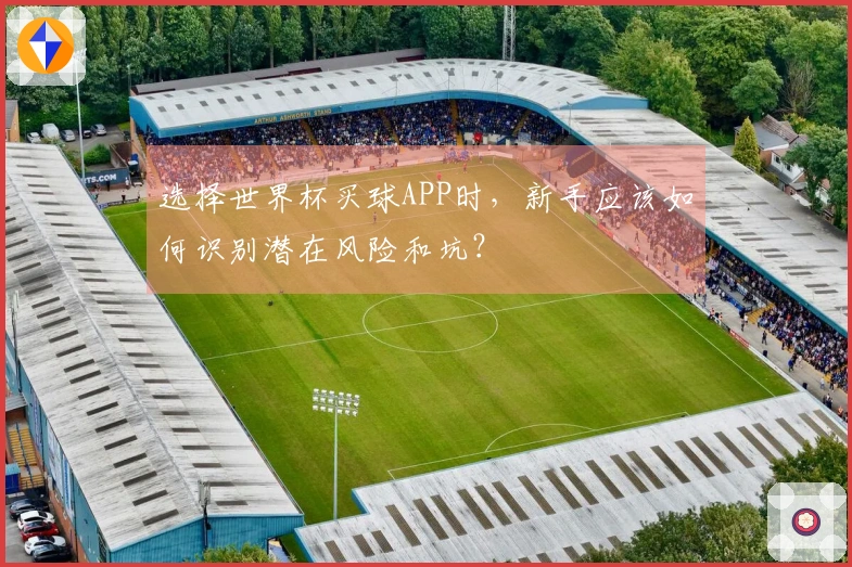 选择世界杯买球APP时，新手应该如何识别潜在风险和坑？