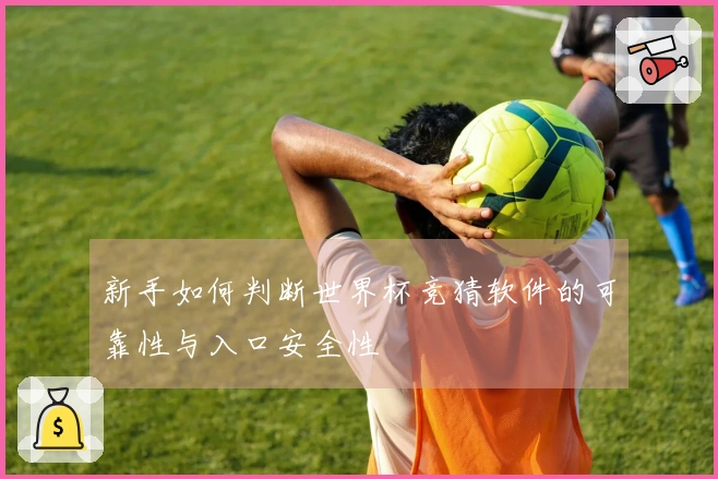 新手如何判断世界杯竞猜软件的可靠性与入口安全性