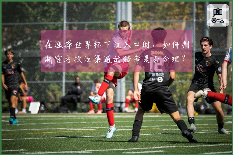 在选择世界杯下注入口时，如何判断官方投注渠道的赔率是否合理？