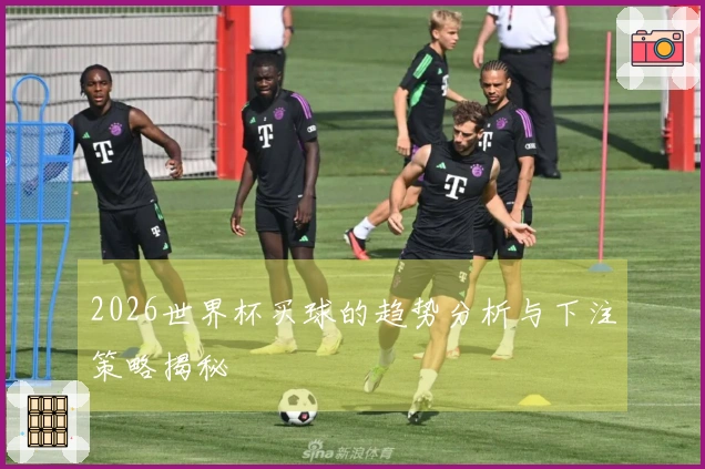 2026世界杯买球的趋势分析与下注策略揭秘
