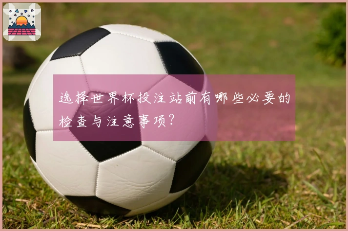 选择世界杯投注站前有哪些必要的检查与注意事项？
