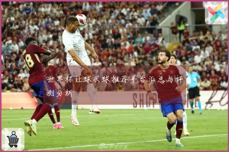 世界杯让球买球推荐平台汇总与评测分析