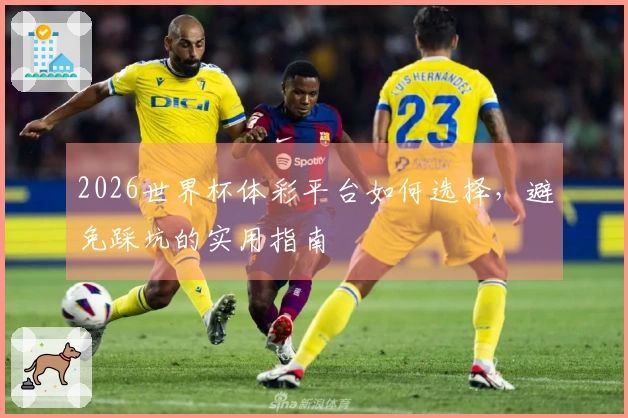 2026世界杯体彩平台如何选择，避免踩坑的实用指南