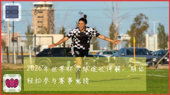 2026年世界杯买球途径详解，助你轻松参与赛事竞猜