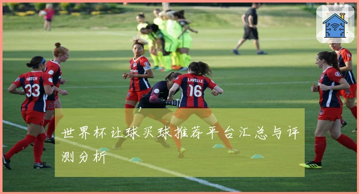 世界杯让球买球推荐平台汇总与评测分析