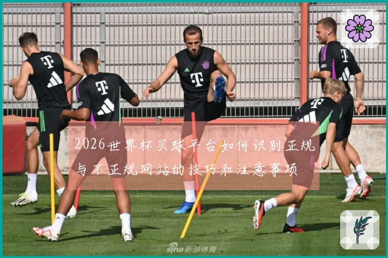 2026世界杯买球平台如何识别正规与不正规网站的技巧和注意事项