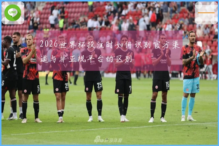 2026世界杯投注时如何识别官方渠道与非正规平台的区别