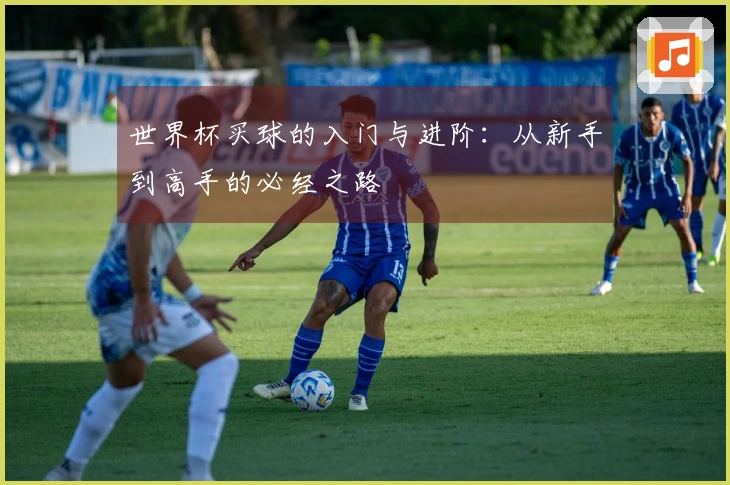 世界杯买球的入门与进阶：从新手到高手的必经之路