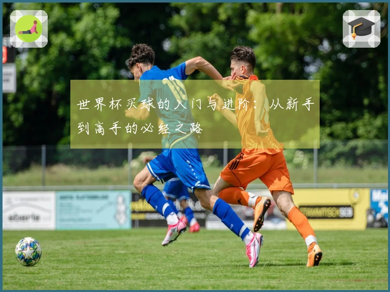 世界杯买球的入门与进阶：从新手到高手的必经之路