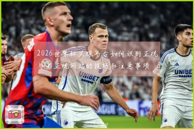 2026世界杯买球平台如何识别正规与不正规网站的技巧和注意事项