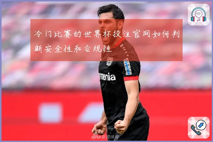 冷门比赛的世界杯投注官网如何判断安全性和合规性