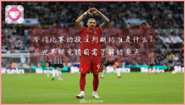 冷门比赛的投注判断标准是什么？买世界杯竞猜前需了解的要点