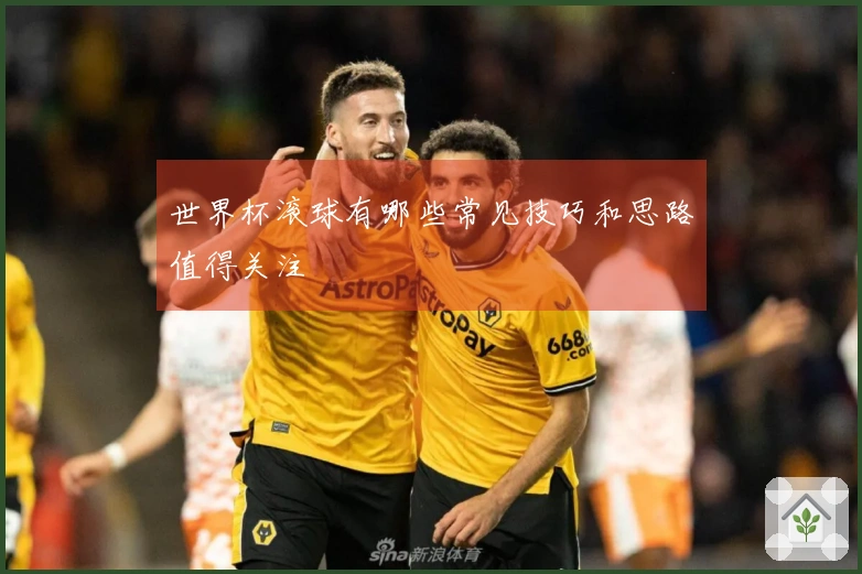 世界杯滚球有哪些常见技巧和思路值得关注