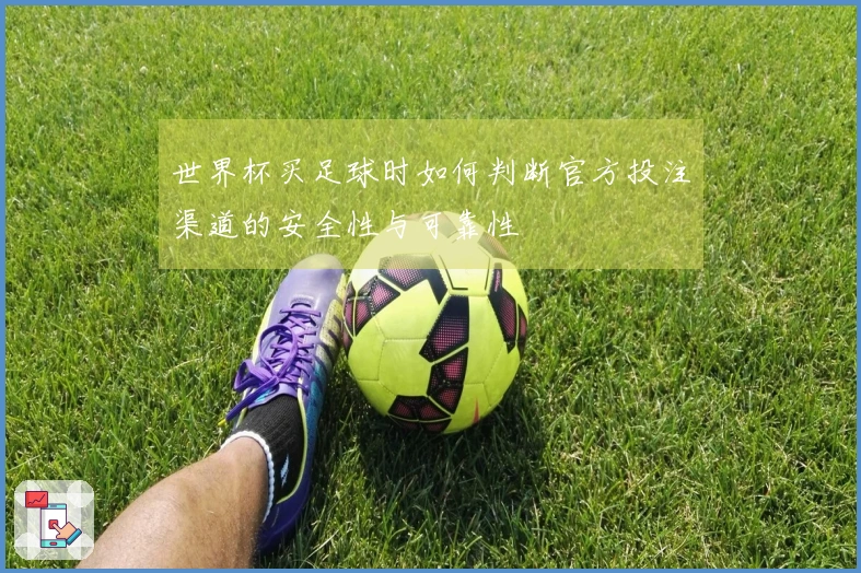 世界杯买足球时如何判断官方投注渠道的安全性与可靠性