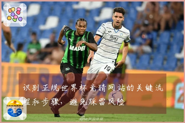 识别正规世界杯竞猜网站的关键流程和步骤，避免踩雷风险