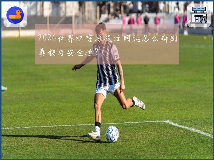 2026世界杯官方投注网站怎么辨别真假与安全性？