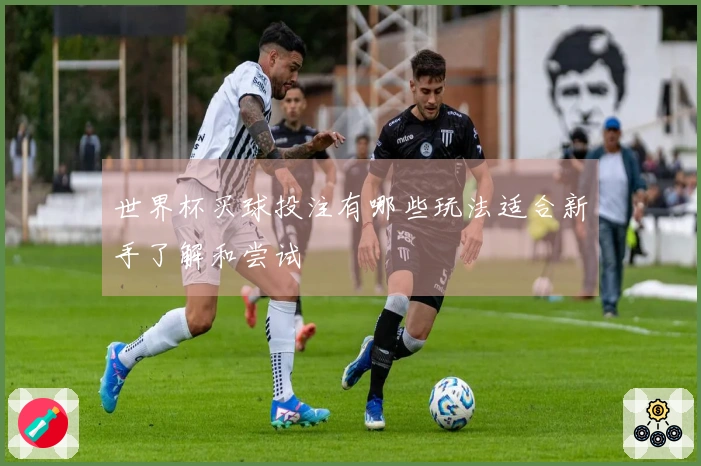 世界杯买球投注有哪些玩法适合新手了解和尝试
