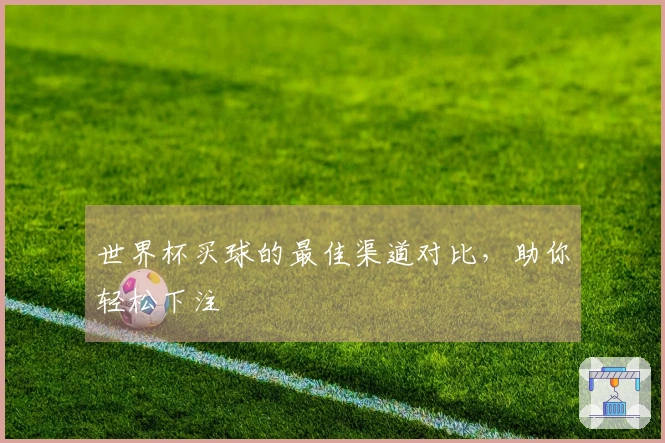 世界杯买球的最佳渠道对比，助你轻松下注
