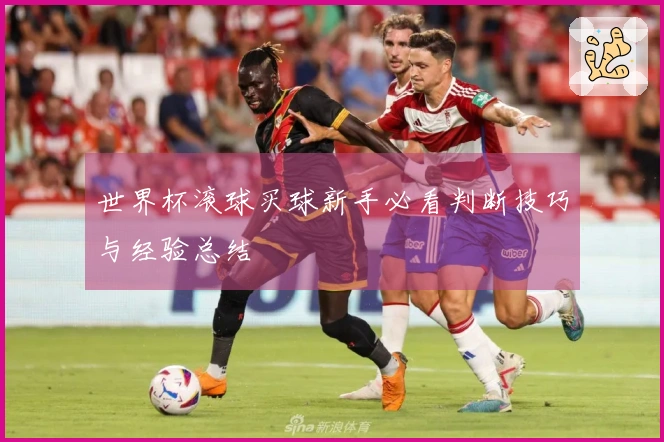 世界杯滚球买球新手必看判断技巧与经验总结