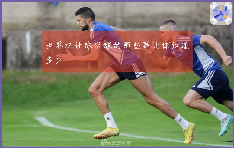 世界杯让球买球的那些事儿你知道多少