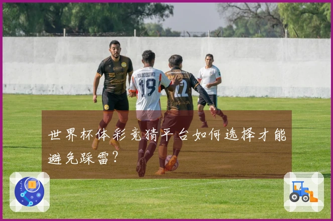 世界杯体彩竞猜平台如何选择才能避免踩雷？