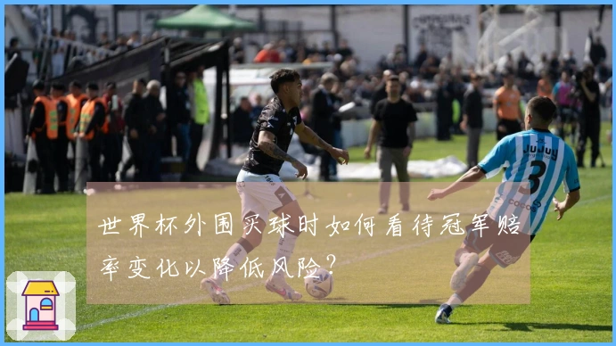 世界杯外围买球时如何看待冠军赔率变化以降低风险？