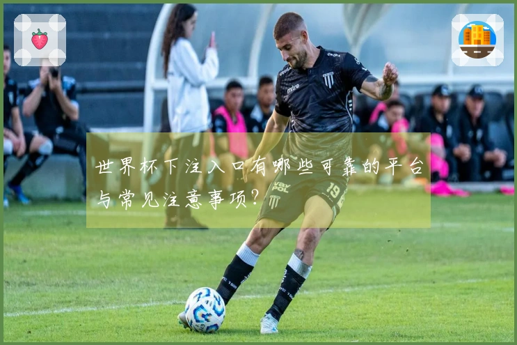 世界杯下注入口有哪些可靠的平台与常见注意事项？