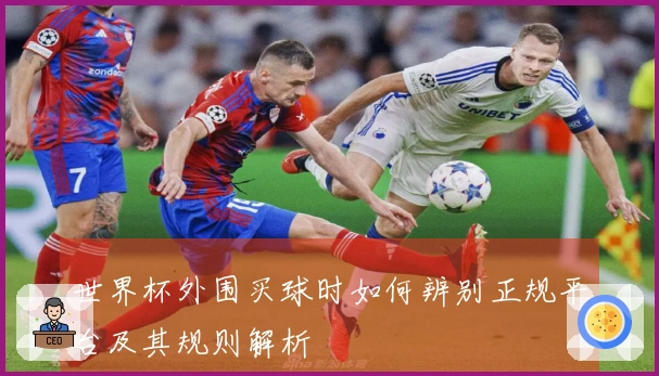 世界杯外围买球时如何辨别正规平台及其规则解析