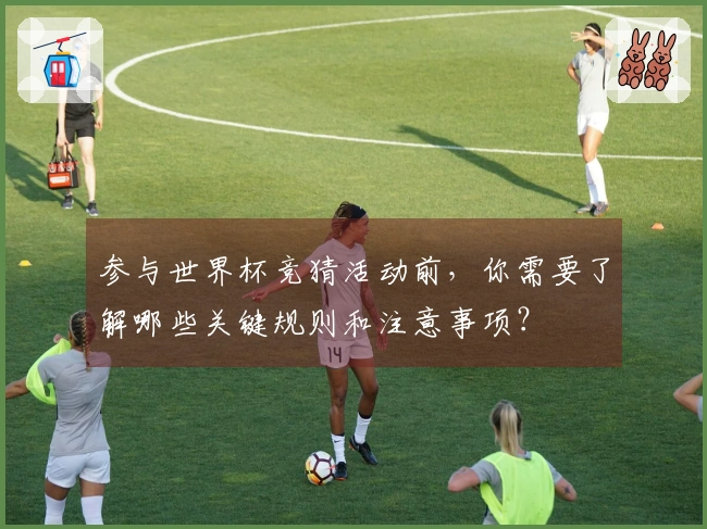 参与世界杯竞猜活动前，你需要了解哪些关键规则和注意事项？