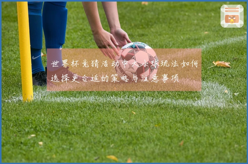 世界杯竞猜活动中大小球玩法如何选择更合适的策略与注意事项