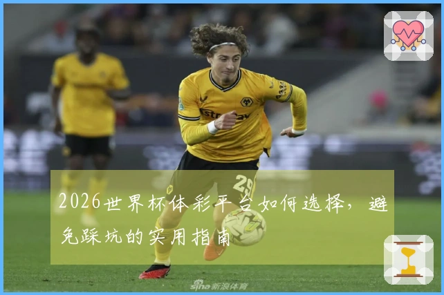 2026世界杯体彩平台如何选择，避免踩坑的实用指南