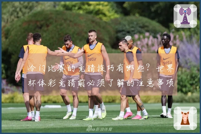 冷门比赛的竞猜技巧有哪些？世界杯体彩竞猜前必须了解的注意事项