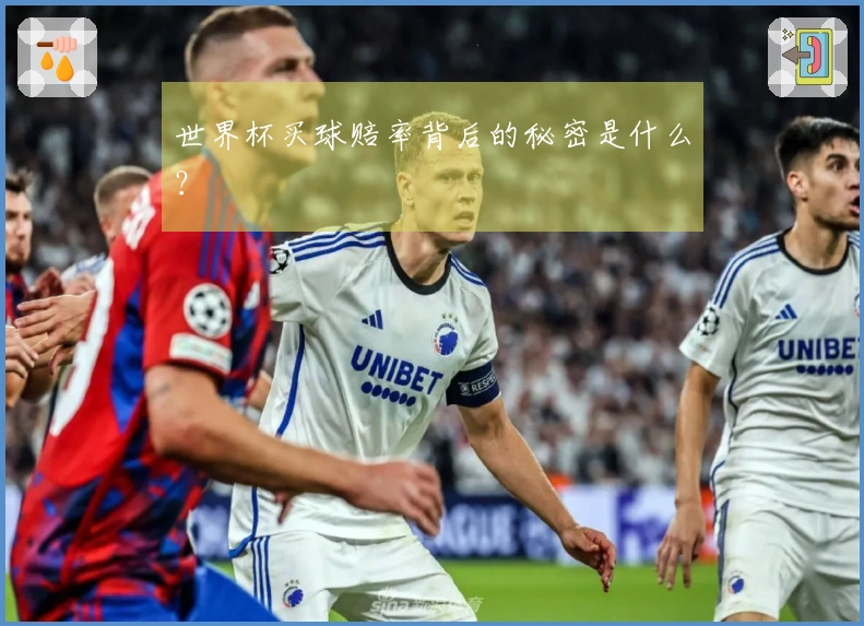 世界杯买球赔率背后的秘密是什么？