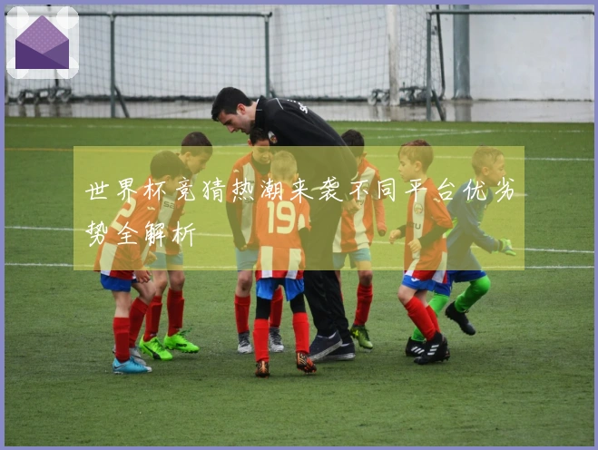 世界杯竞猜热潮来袭不同平台优劣势全解析