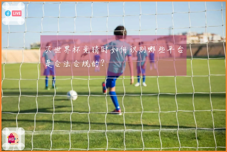 买世界杯竞猜时如何识别哪些平台是合法合规的？
