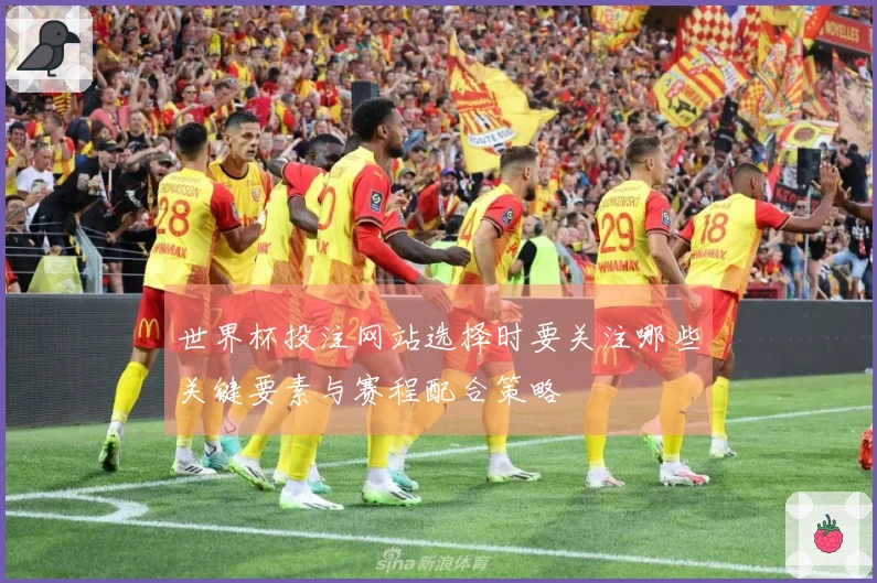 世界杯投注网站选择时要关注哪些关键要素与赛程配合策略