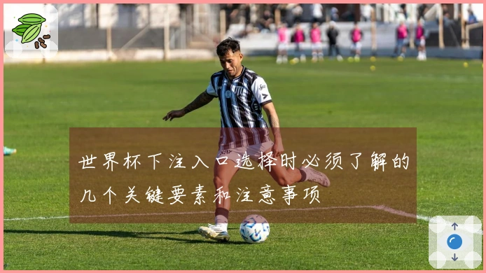 世界杯下注入口选择时必须了解的几个关键要素和注意事项
